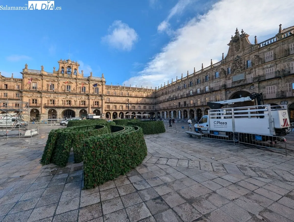 Montaje del gran árbol de Navidad en la Plaza Mayor de Salamanca. Foto de David Sañudo