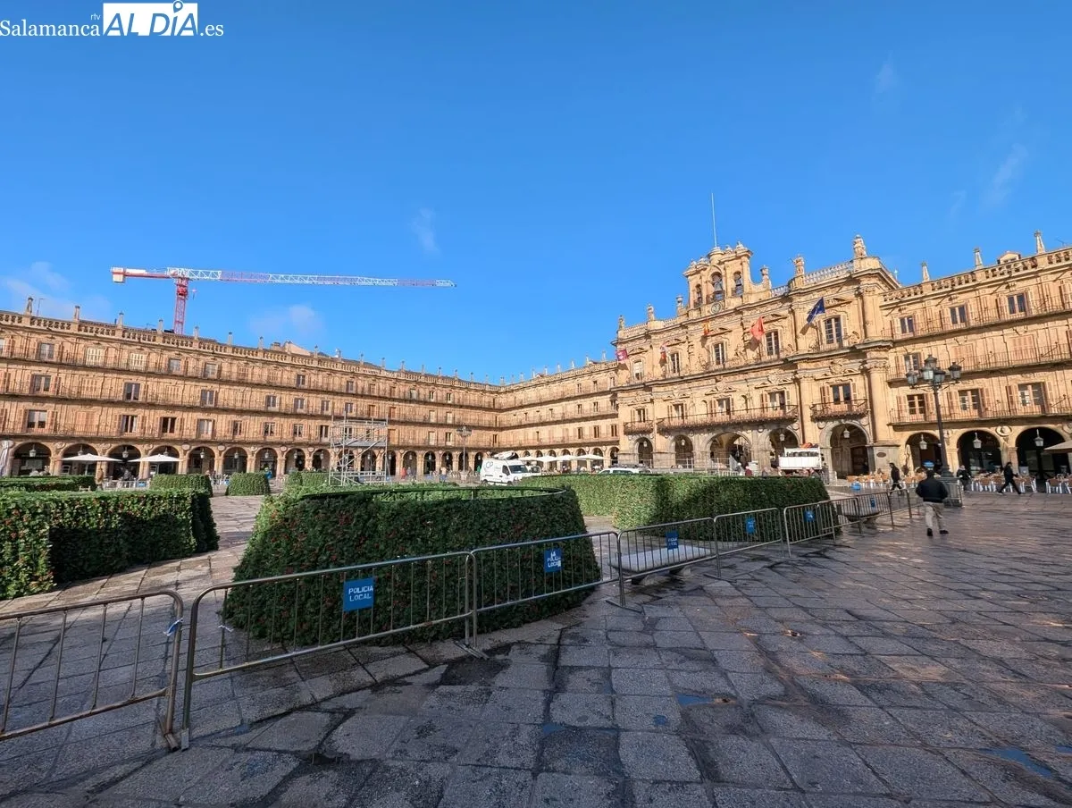 Montaje del gran árbol de Navidad en la Plaza Mayor de Salamanca. Foto de David Sañudo