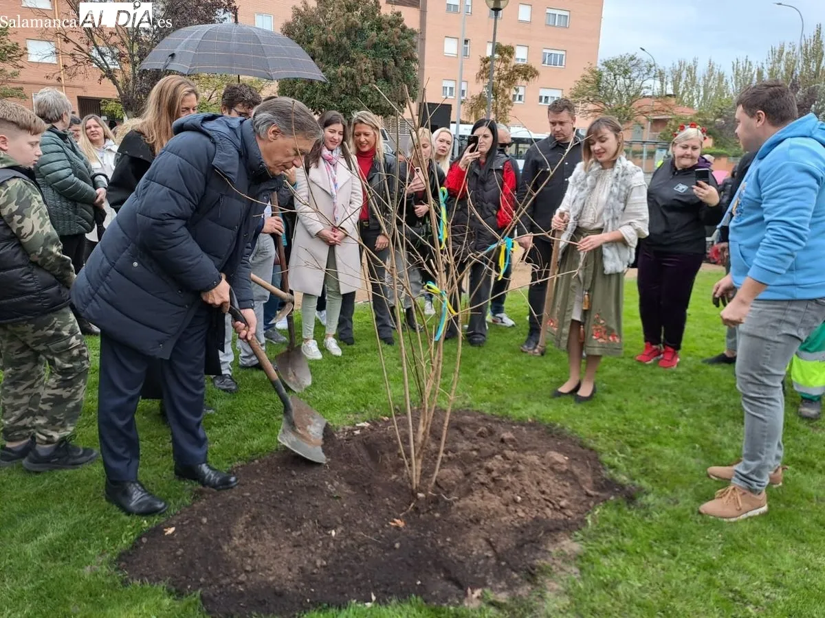Responsables del Ayuntamiento y de la Asociación de Ucranianos de Salamanca plantan el Jardín de Kalyna como símbolo de paz y de libertad. Fotos: Víctor Jiménez