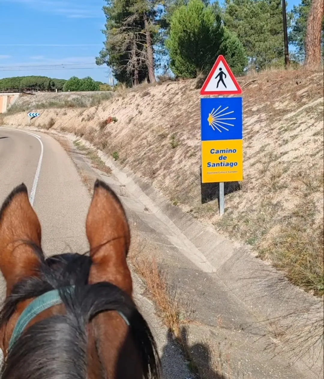 Jetete y Piniu en su camino de Hamburgo a Castelo Branco