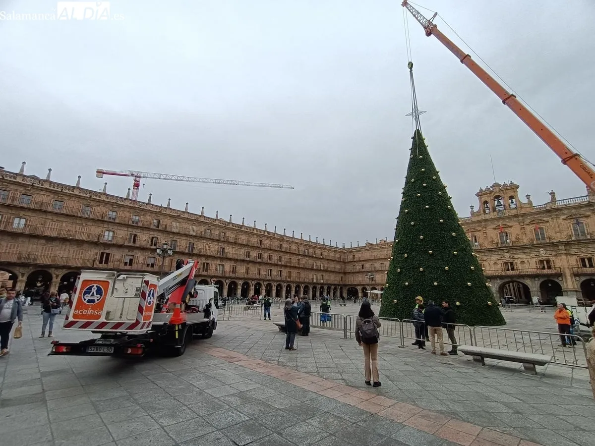 Árbol de Navidad de más de 23 metros en la Plaza Mayor de Salamanca. Foto de Diego de Castro