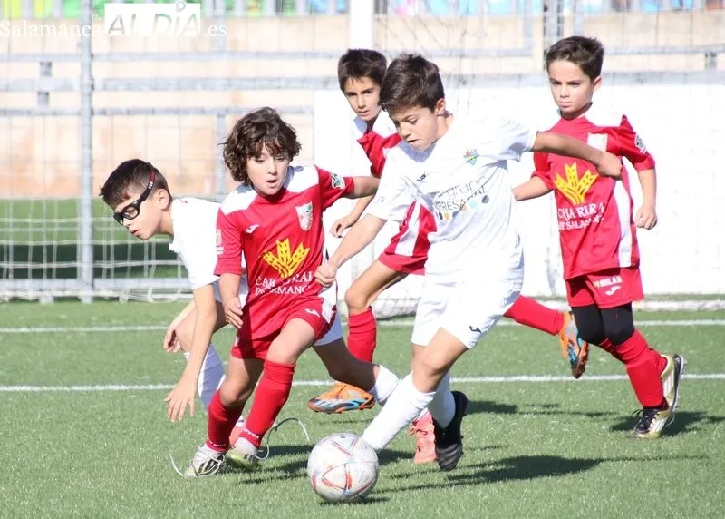 Foto 6 - El Benjam&iacute;n A del Alba de Tormes CF: un equipo unido por la ilusi&oacute;n y las ganas de crecer