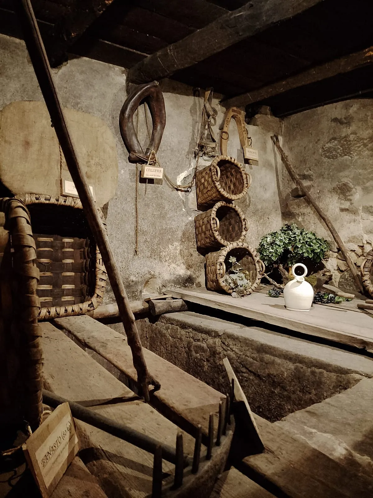 Vecinos de Águeda visitan la Sierra de Francia