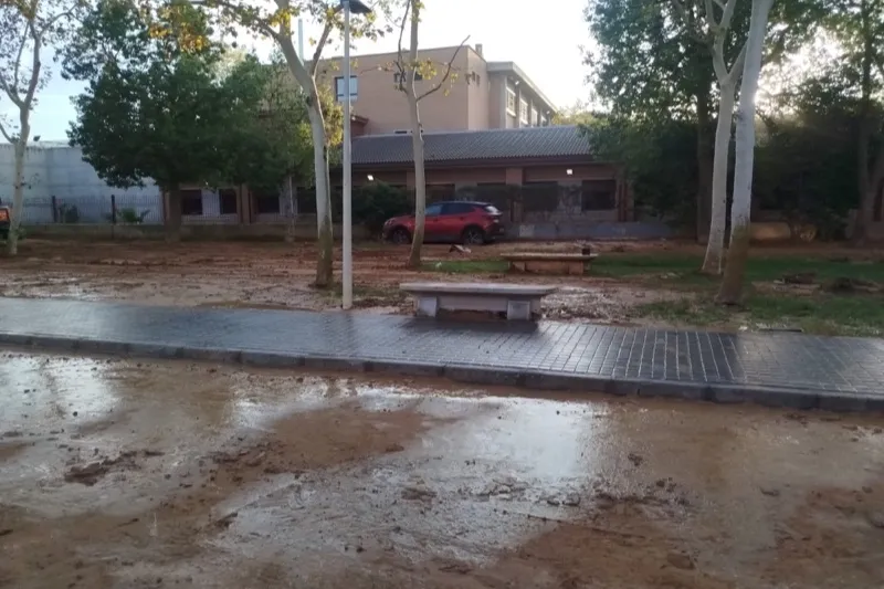 Aceinsa se despliega en Picaña y Algamesí para ayudar en su limpieza
