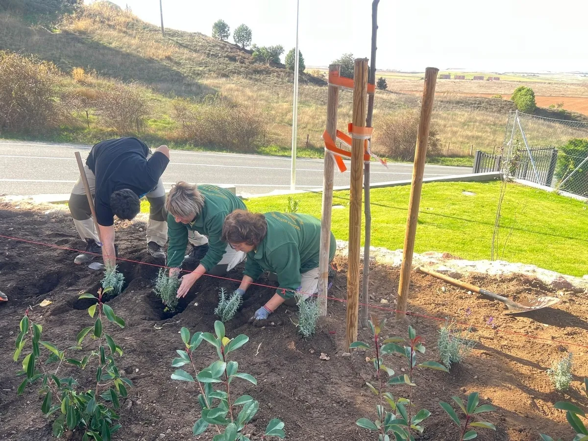 Foto 11 - Concluye la recuperaci&oacute;n y el acondicionamiento del entorno verde de la Fuente de Valdehigal en Carbajosa