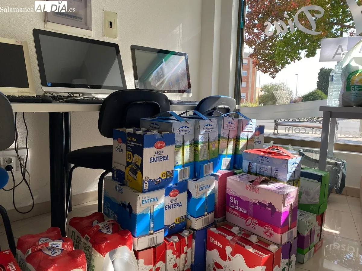 Recogida en Autoescuela El Pilar 