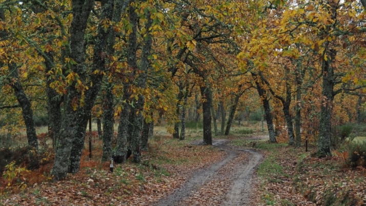 Salamanca: La Alberca