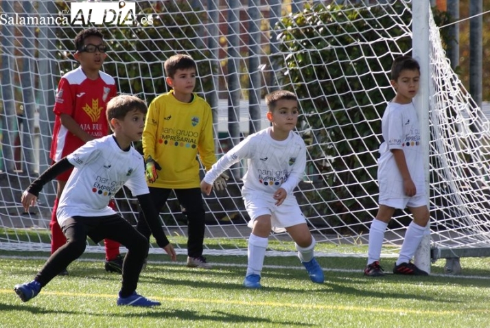 El Alba de Tormes CF Prebenjam&iacute;n: Ilusi&oacute;n, aprendizaje y compa&ntilde;erismo en su primer a&ntilde;o de competici&oacute;n | Imagen 2