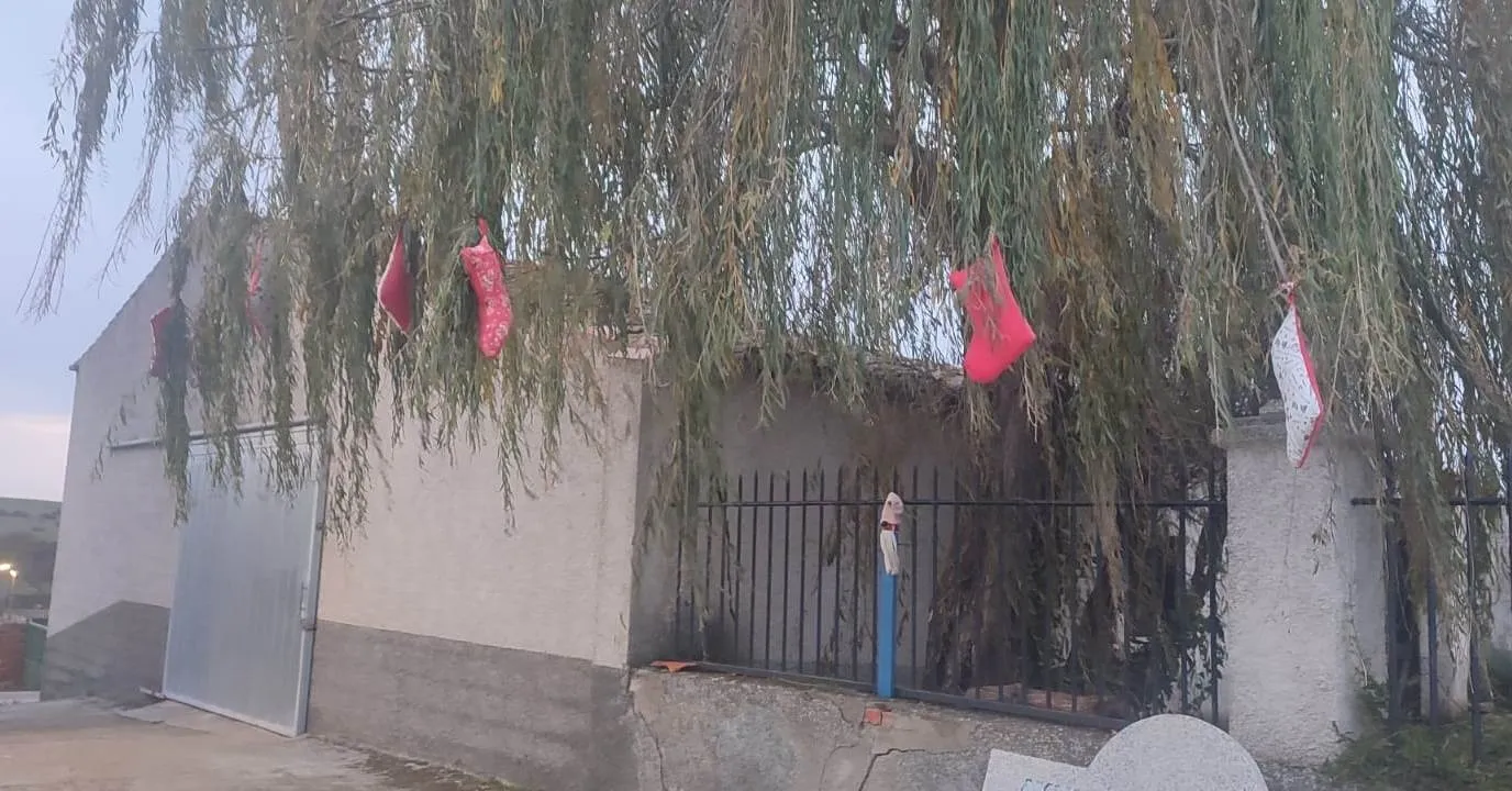 Foto 9 - Barquilla da la bienvenida a la Navidad tras un intenso mes de trabajo por parte de los vecinos