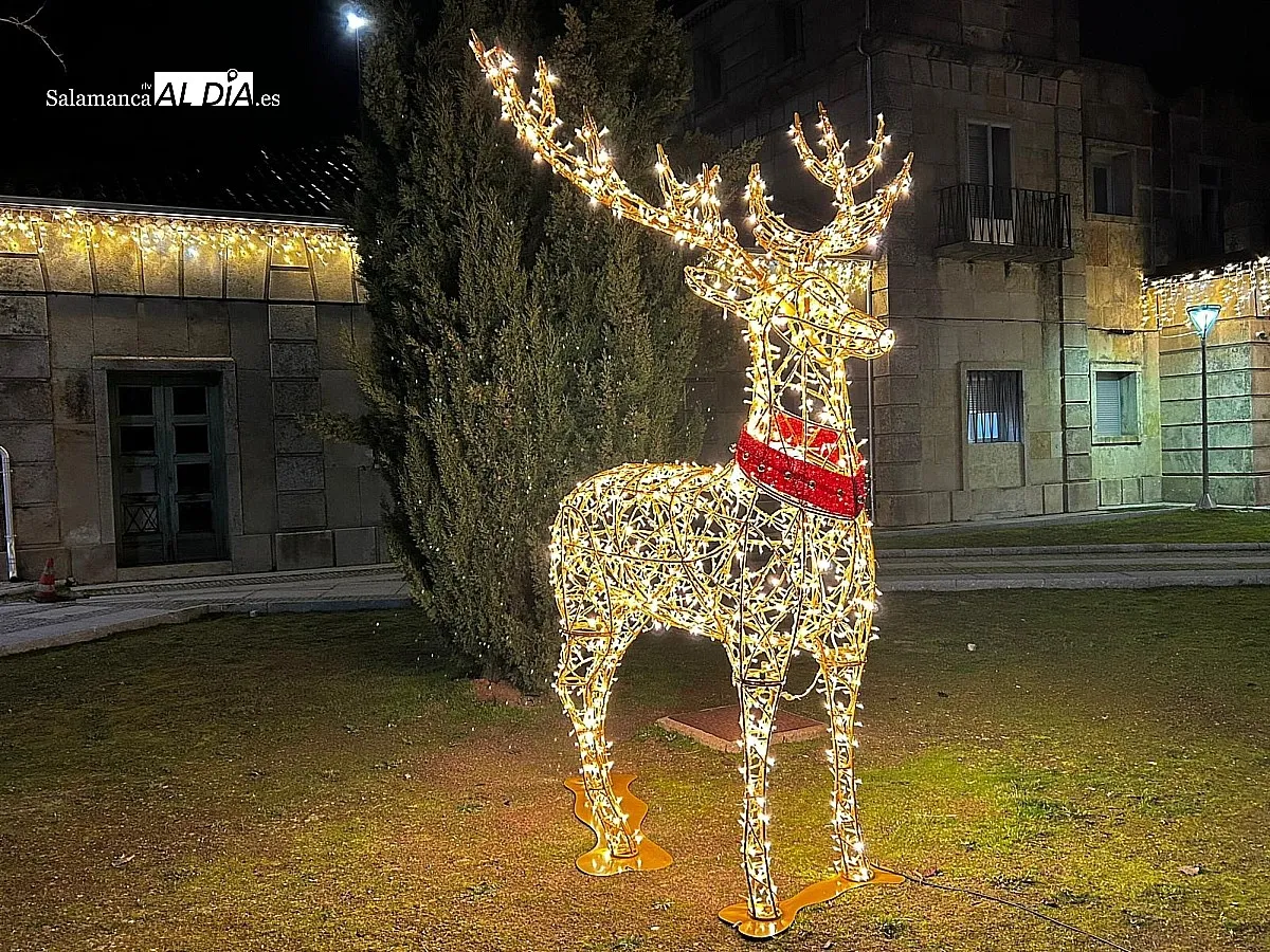 Foto 4 - La Navidad Hispanolusa ya luce en ambos lados de la frontera