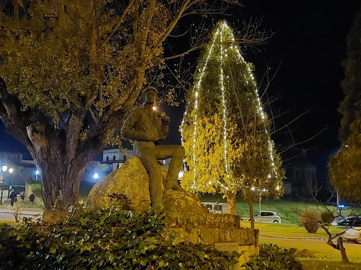 Foto 5 - Uno de los &aacute;rboles de la Glorieta del &Aacute;rbol Gordo incorpora iluminaci&oacute;n