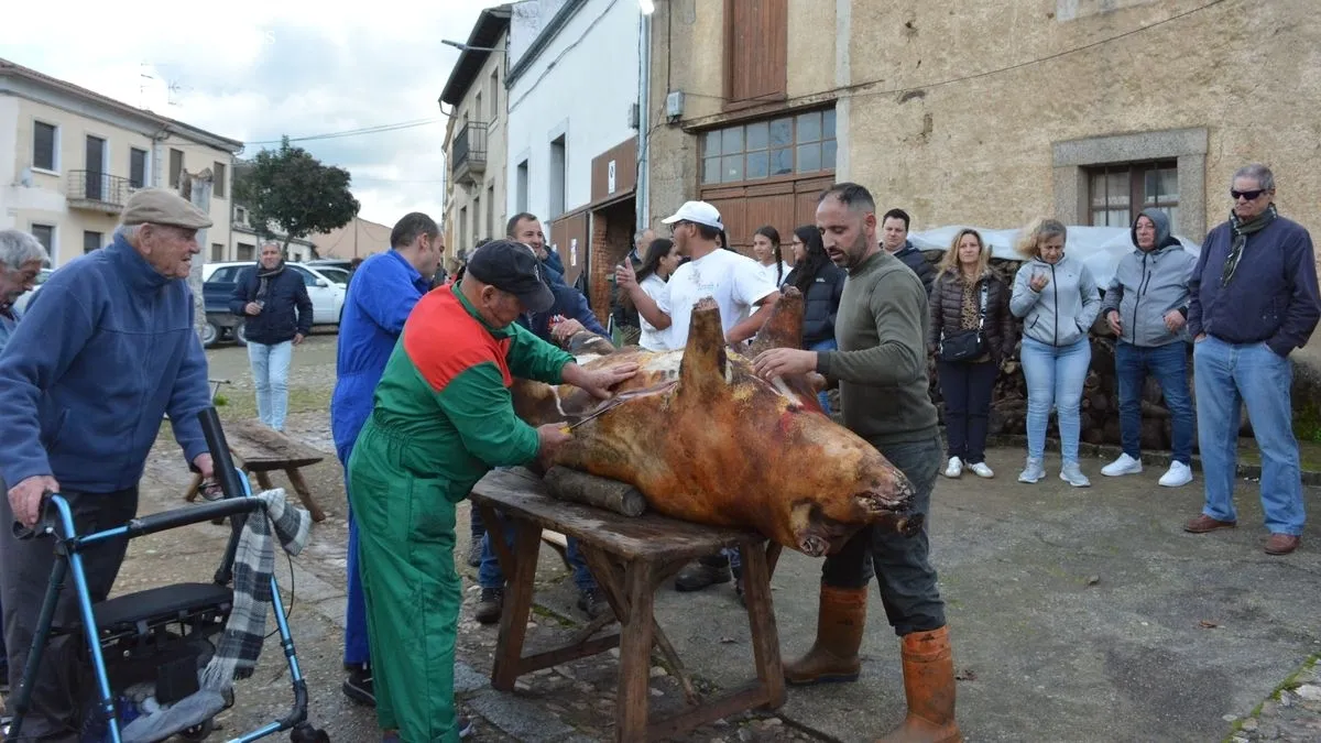 Foto 2 - Hinojosa de Duero celebra la XXIII edici&oacute;n de la Matanza T&iacute;pica del Cerdo