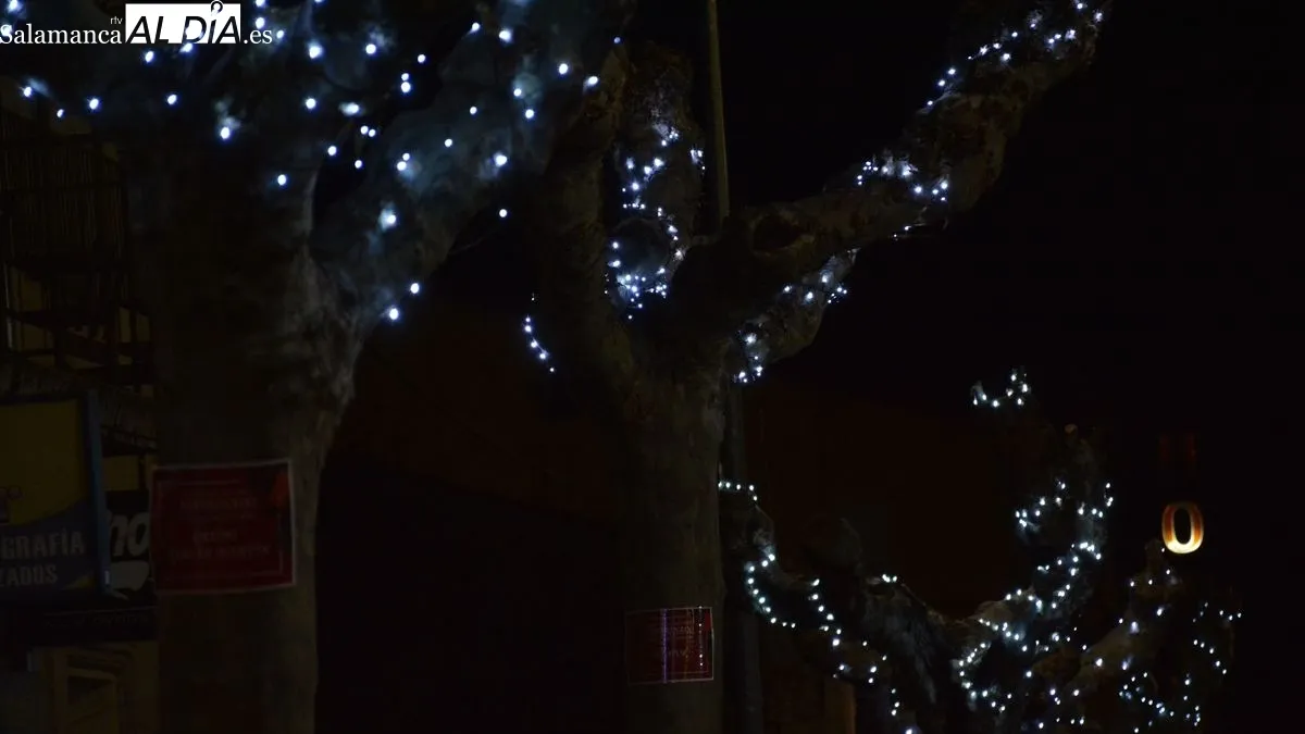 Foto 11 - El encendido del alumbrado en la carretera marca el inicio de la Navidad en Lumbrales