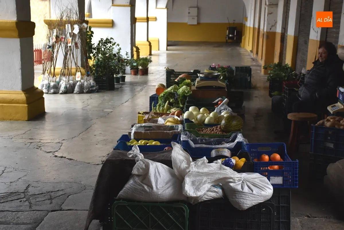 Foto 5 - Ciudad Rodrigo despide el 2024 con una fr&iacute;a jornada de ajetreo creciente
