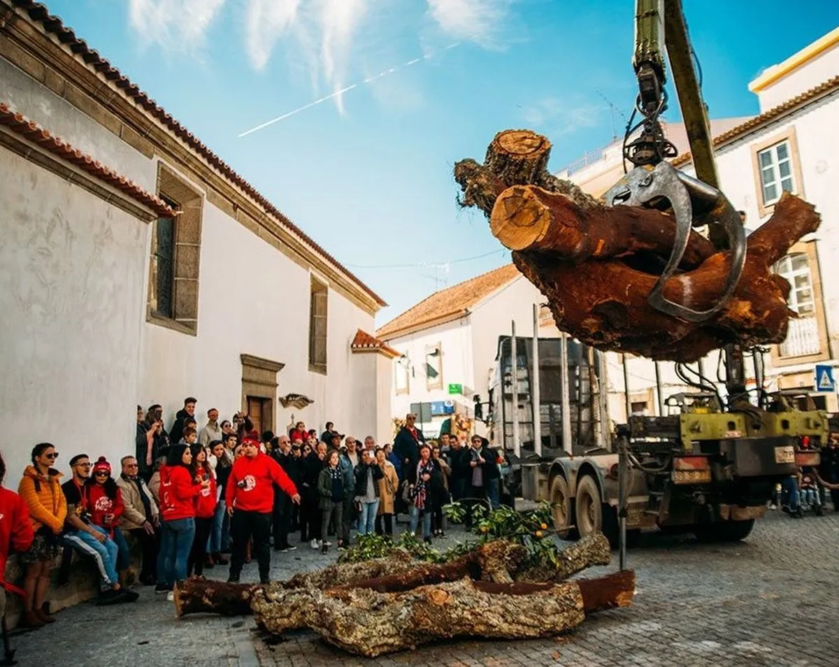 Foto 11 - El 8 de diciembre es un d&iacute;a se&ntilde;alado en la Navidad de Penamacor