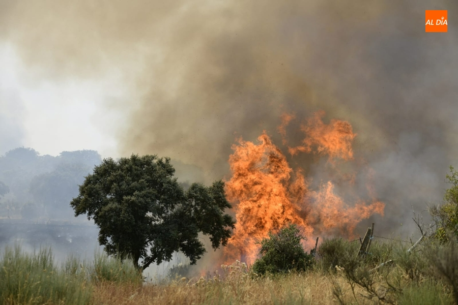 PP y Vox rechazan en las Cortes que Morasverdes reciba ayudas por el incendio de 2022