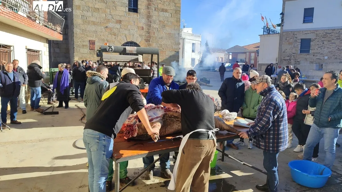 XIV Matanza Tradicional de Saucelle / CORRAL