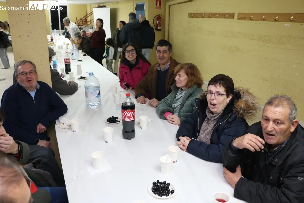 XVI Fiesta de la Aceituna, el Aceite y el Olivo en Aldeadávila de la Ribera / CORRAL