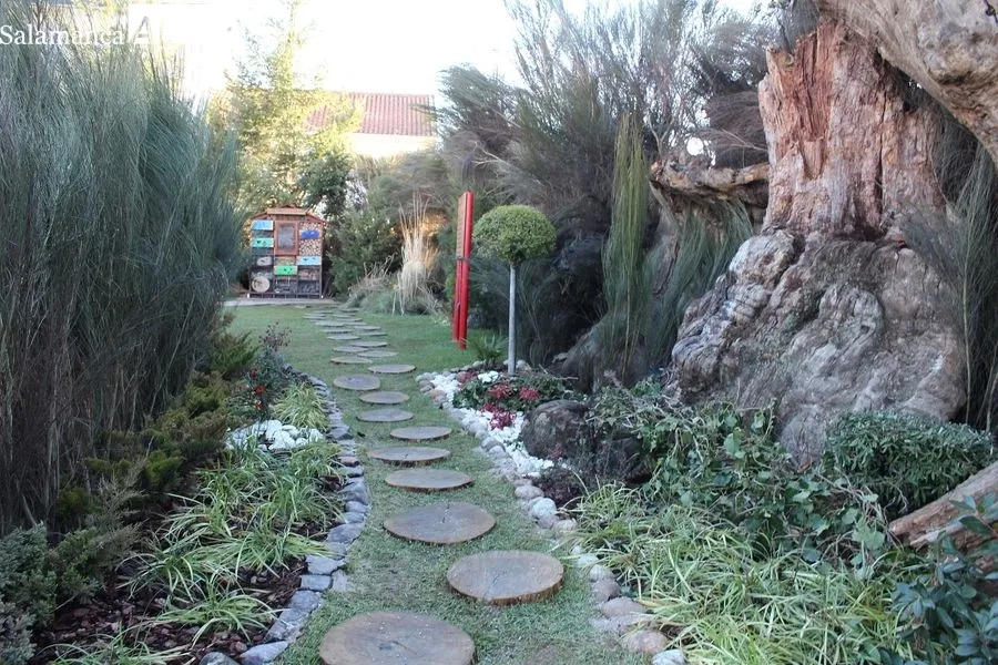 Belén Natural de Sabugal (Portugal) 