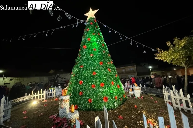 Foto 8 - Multitudinario ambiente y miradas de ilusi&oacute;n acompa&ntilde;an el encendido del d&eacute;cimo &aacute;rbol de Navidad creado por Villoruela se Mueve y la solidaridad vecinal 