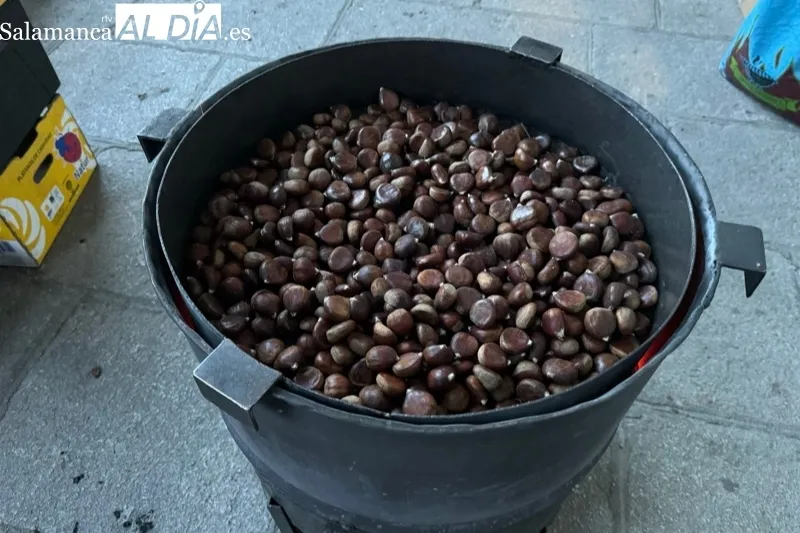 Fiesta de la Castañada en Peñaranda