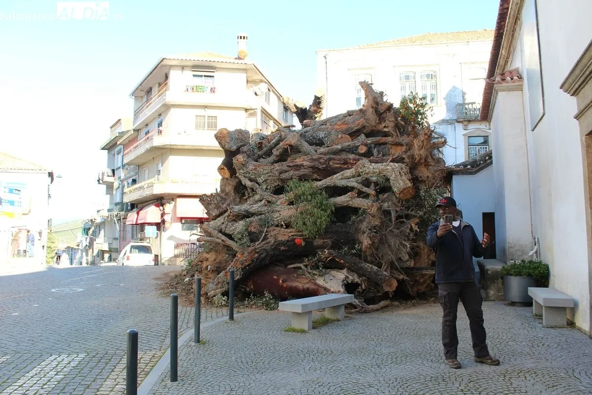 Vila Madeiro acontece en Penamacor (Portugal) 