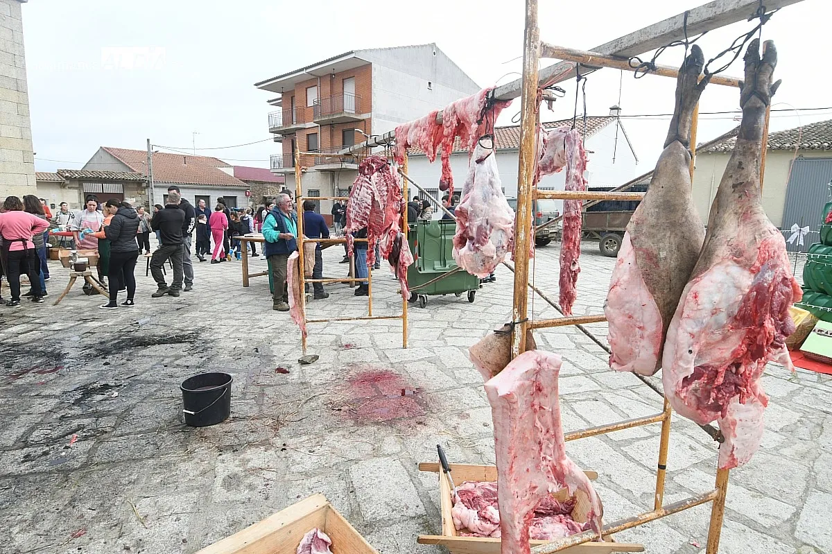 Matanza tradicional del cerdo en Villar de La Yegua/ Fotos: Adrián M.Pastor