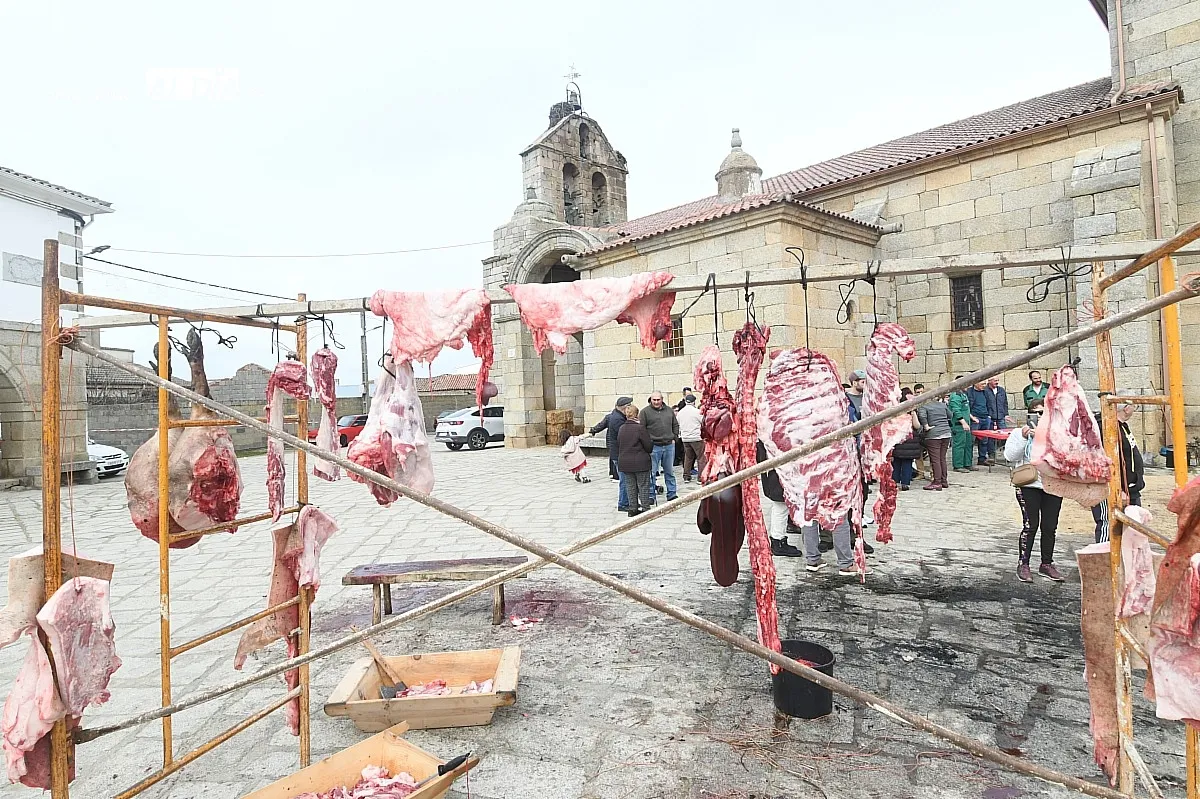 Matanza tradicional del cerdo en Villar de La Yegua/ Fotos: Adrián M.Pastor