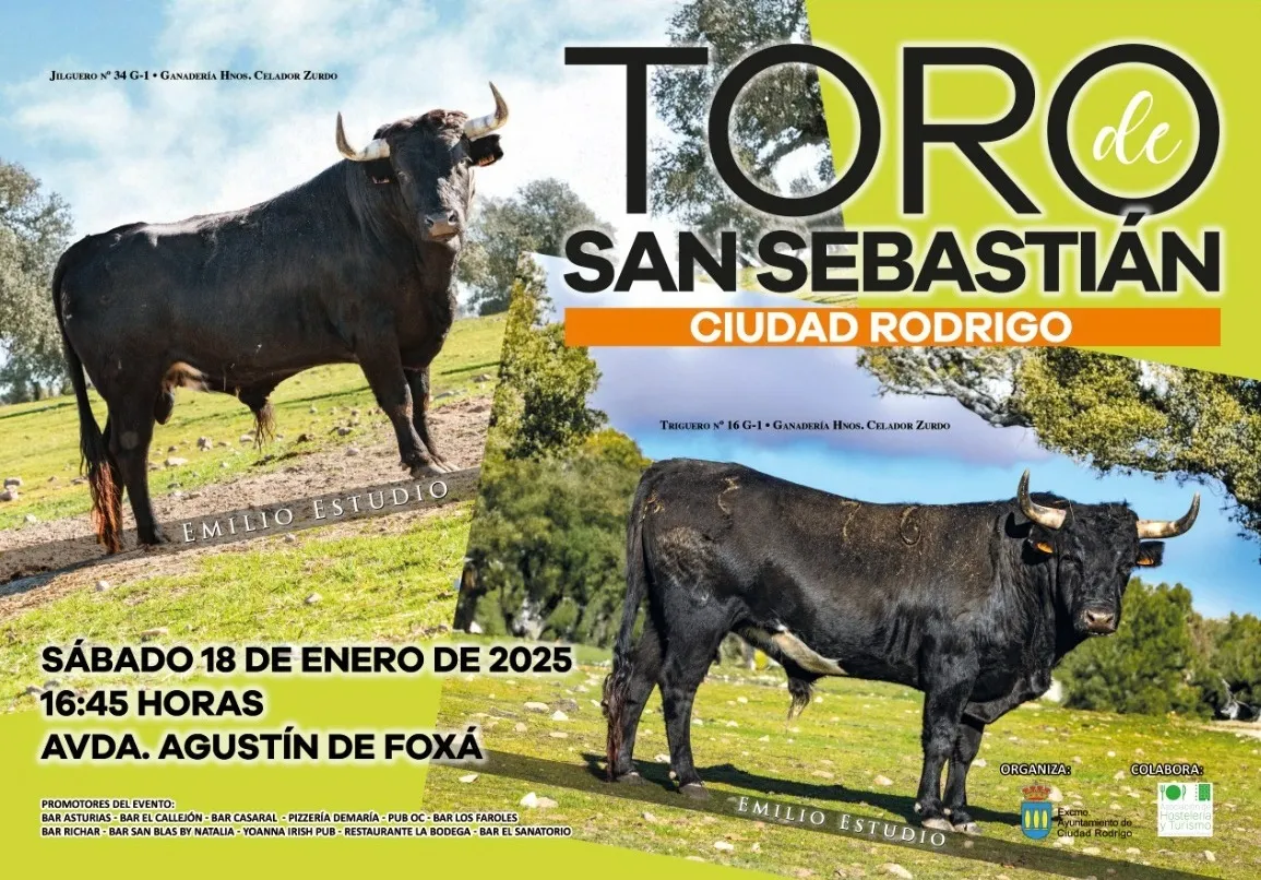 Foto 2 - Jilguero y Triguero, de los Hermanos Celador Zurdo, protagonizar&aacute;n el Toro de San Sebasti&aacute;n