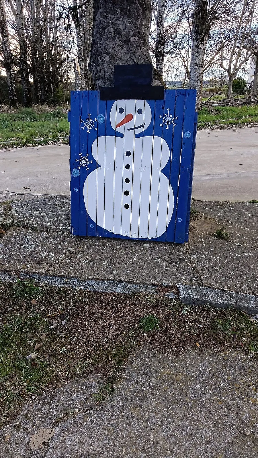 Foto 9 - Vecinos de El Bod&oacute;n adornan calles y plazas para recibir la Navidad