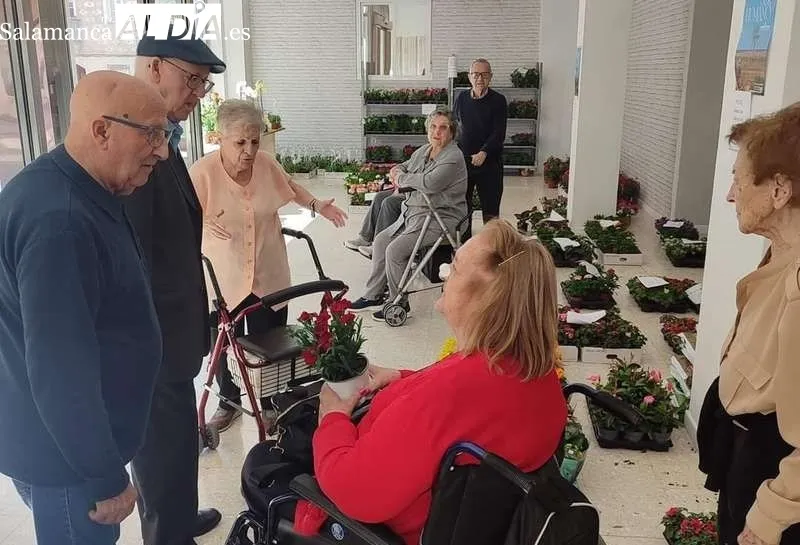 Foto 8 - Residencia y Centro de D&iacute;a 'Gerialba&rsquo;, bienestar integral para personas mayores en Alba de Tormes