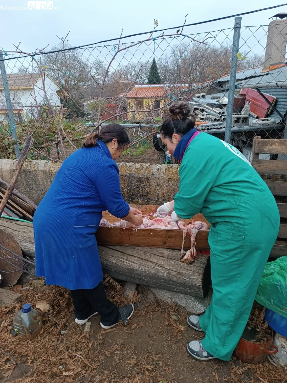 Matanza tradicional a cargo de la familia Muñoz Marcos en Linares de Riofrío