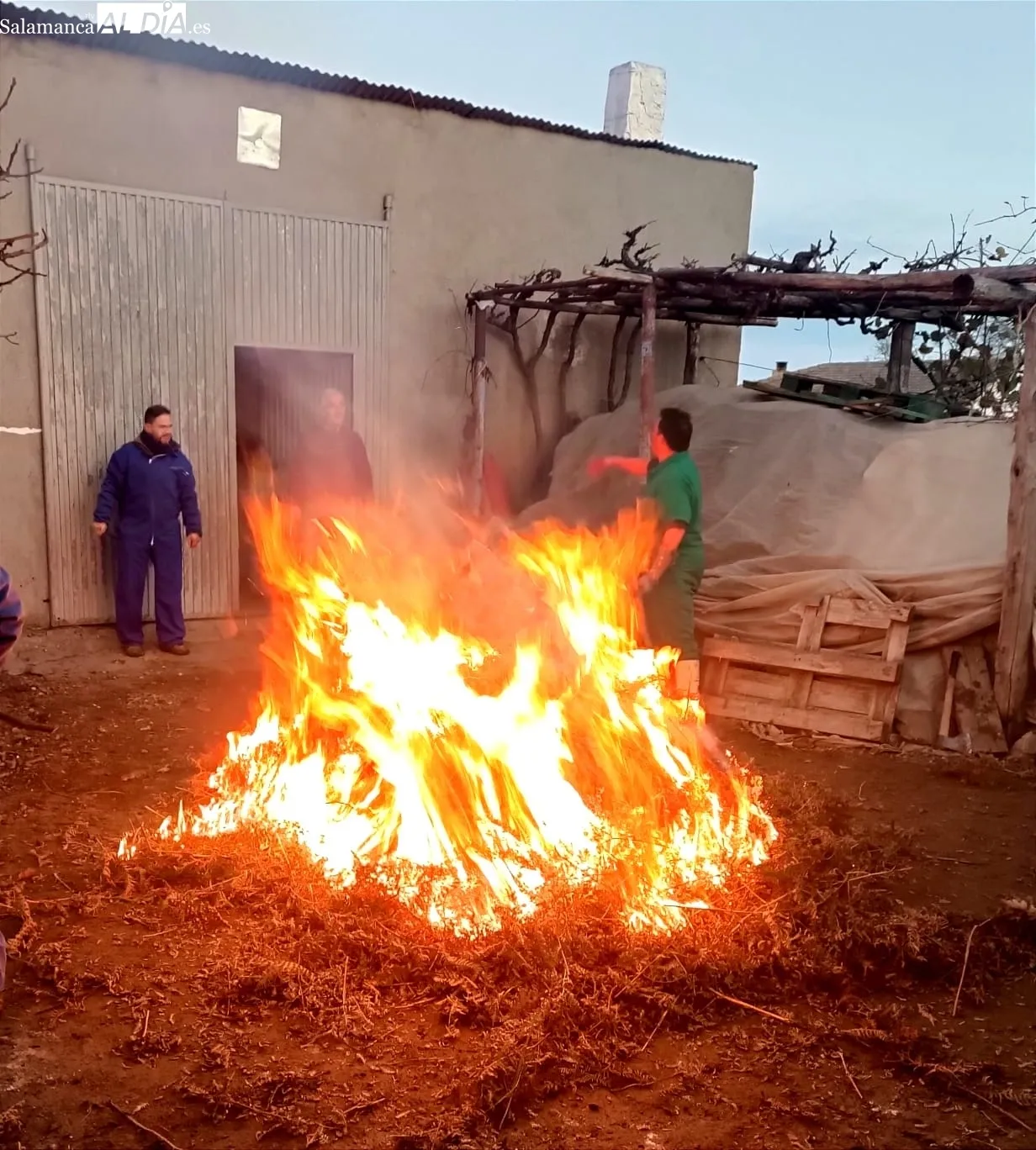 Matanza tradicional a cargo de la familia Muñoz Marcos en Linares de Riofrío