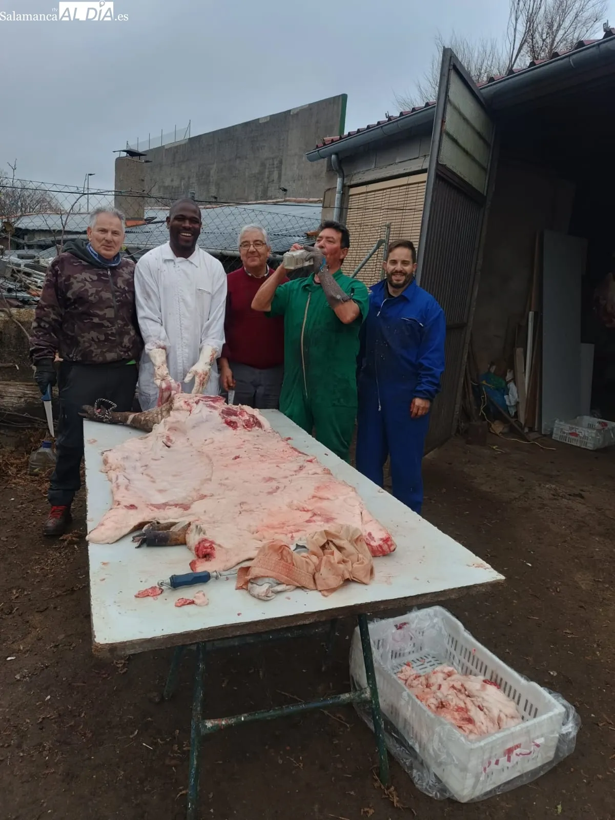 Matanza tradicional a cargo de la familia Muñoz Marcos en Linares de Riofrío