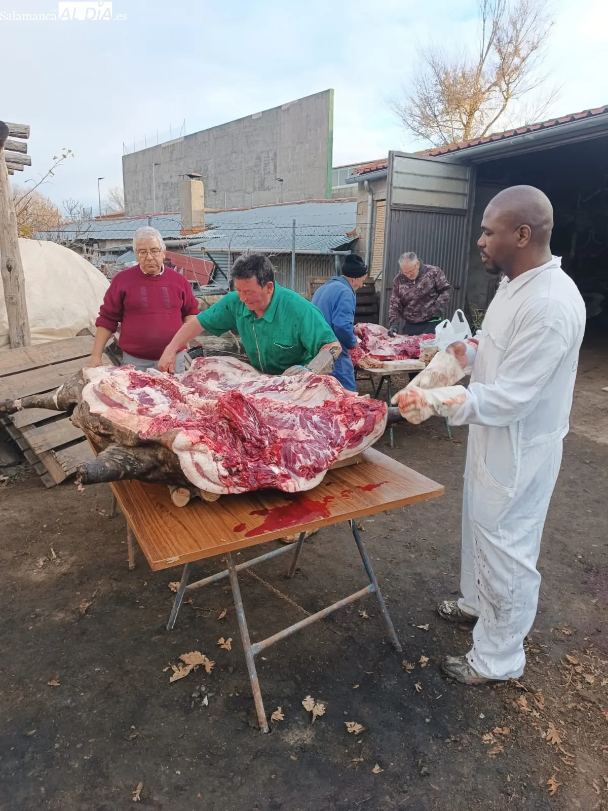 Matanza tradicional a cargo de la familia Muñoz Marcos en Linares de Riofrío