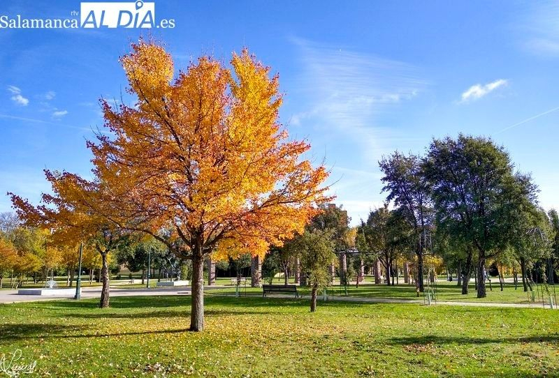 18 metros cuadrados de zona verde y al menos un árbol por cada vecino de Salamanca