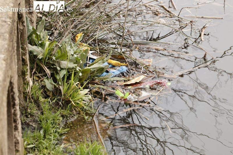 Más de 700 voluntarios, un centenar de Salamanca, recogen 6.000 kilos de basuraleza en 48 espacios naturales de Castilla y León