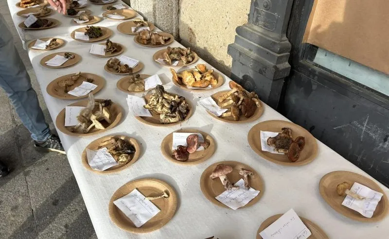 Foto 7 - Alba de Tormes celebra con &eacute;xito las II Jornadas Micol&oacute;gicas: educaci&oacute;n, gastronom&iacute;a y naturaleza