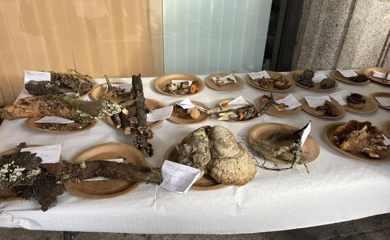 Foto 6 - Alba de Tormes celebra con &eacute;xito las II Jornadas Micol&oacute;gicas: educaci&oacute;n, gastronom&iacute;a y naturaleza