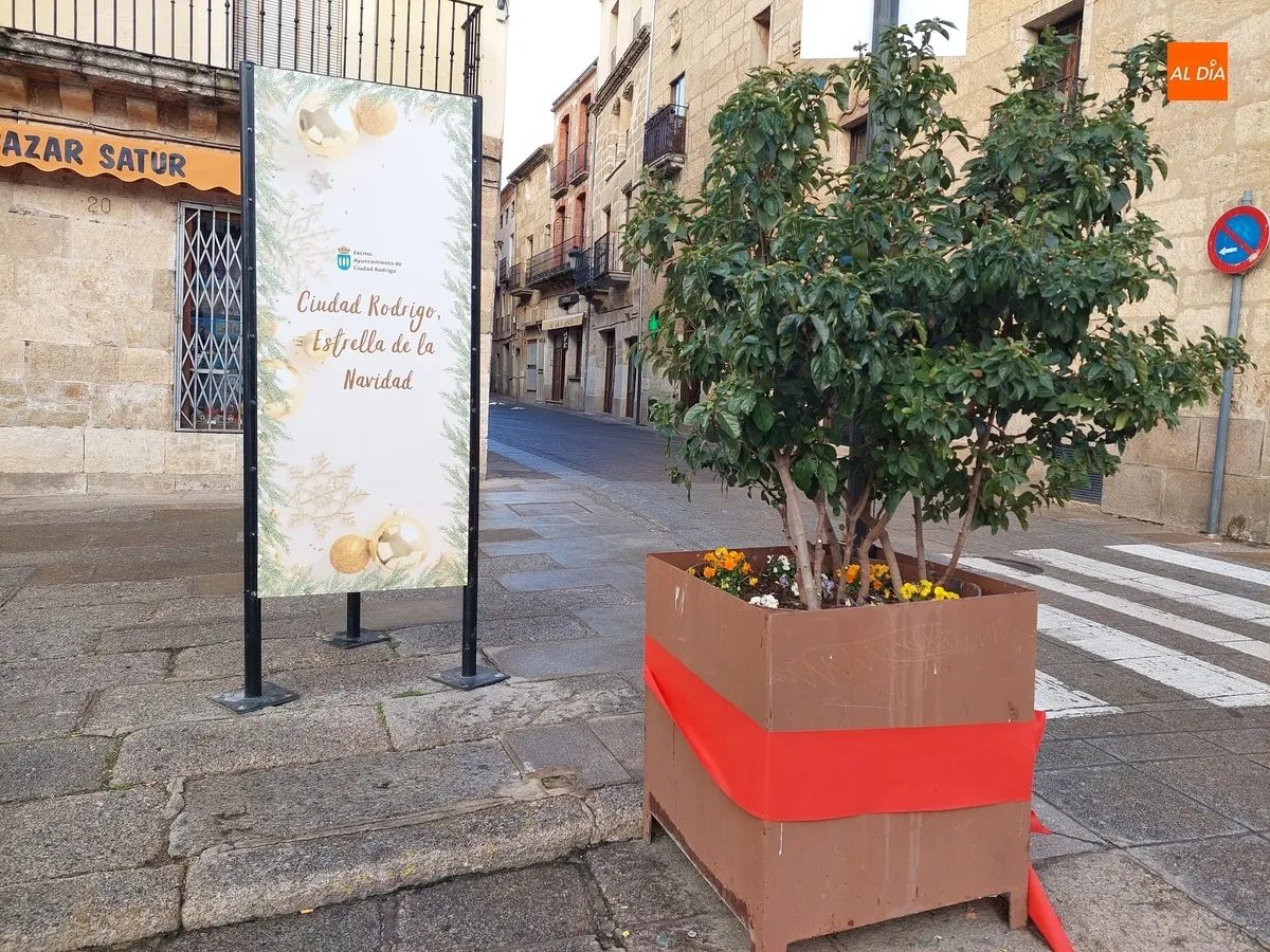 Foto 3 - Despejado el camino para el paso este fin de semana del Cristo del Silencio y San Sebasti&aacute;n