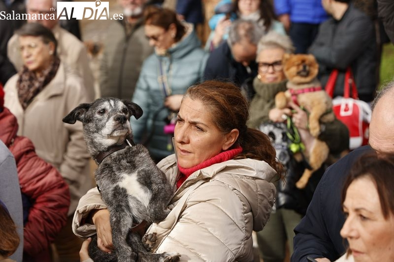 18.268 animales domésticos en Salamanca