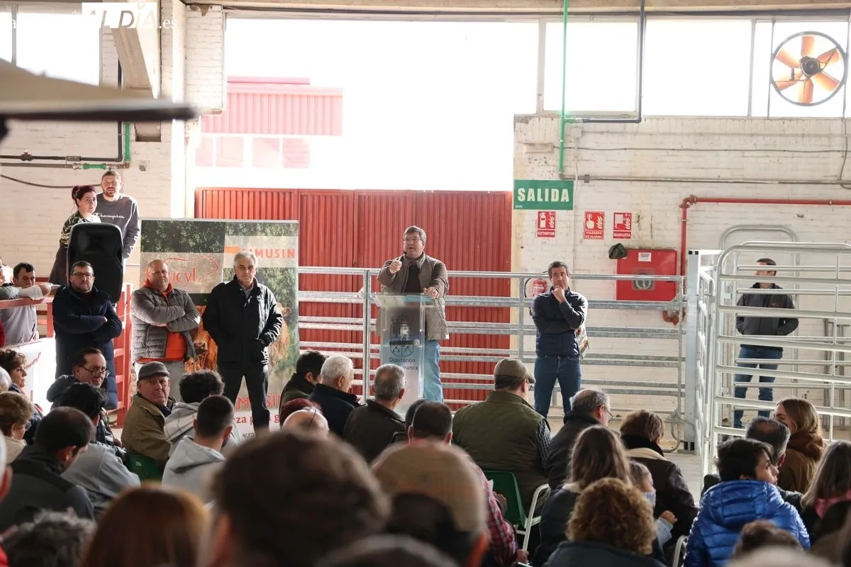 El Recinto Ferial de Salamanca acoge la Subasta de sementales de la Raza Limusina | FOTOS: David Sañudo 