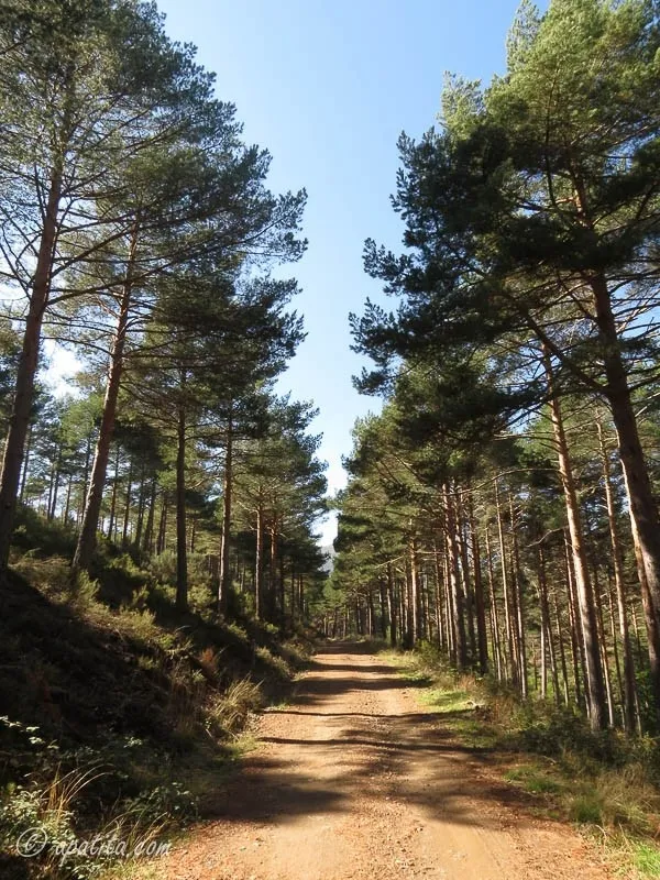 El camino hacia la Peña de Francia, una ruta senderista para disfrutar de la belleza de la sierra salmantina | FOTOS: wikiloks (apatia.com)