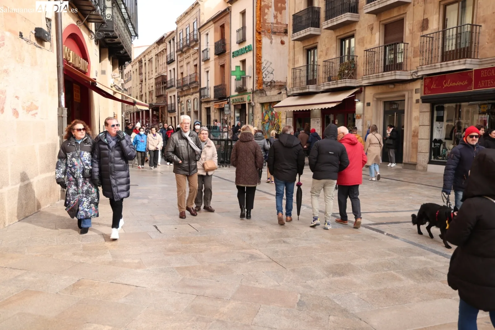 Ambiente en Salamanca, a la espera de la borrasca 'Herminia' | Fotos: David Sañudo