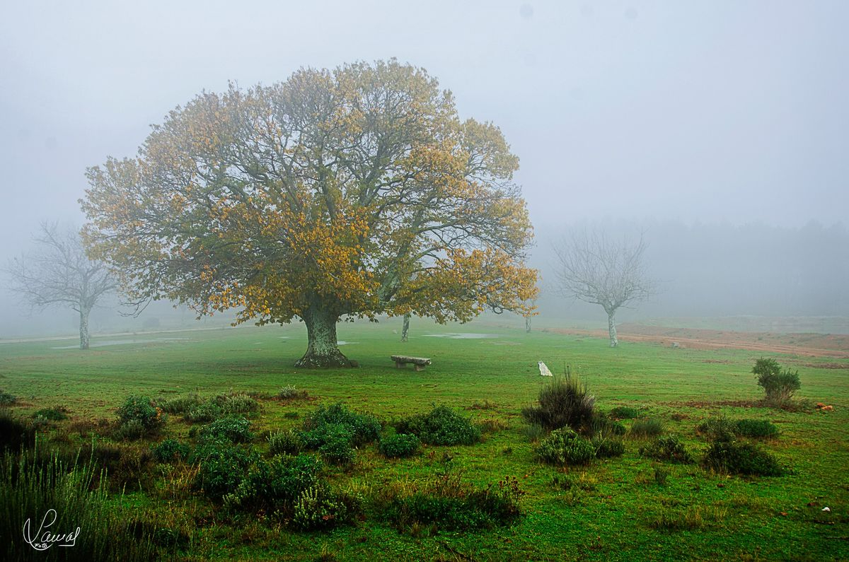 Paraje de San Miguel de Valero, en Salamanca