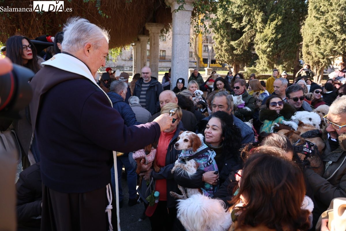 FOTOS y VÍDEO de la bendición de los animales en Salamanca