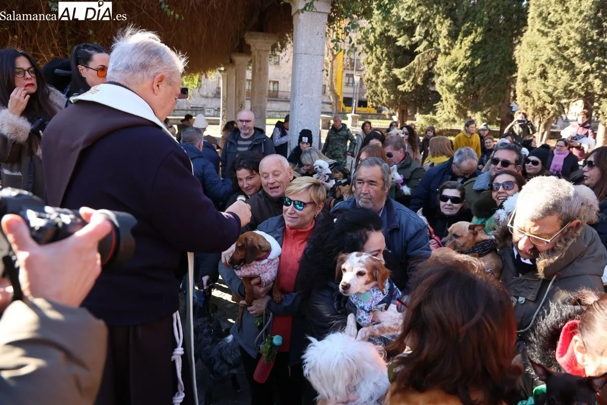 Tradicional bendición de los animales en el parque de San Francisco. Foto de David Sañudo