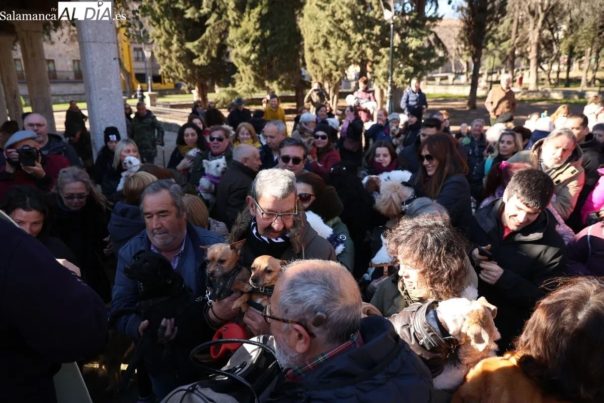 Tradicional bendición de los animales en el parque de San Francisco. Foto de David Sañudo