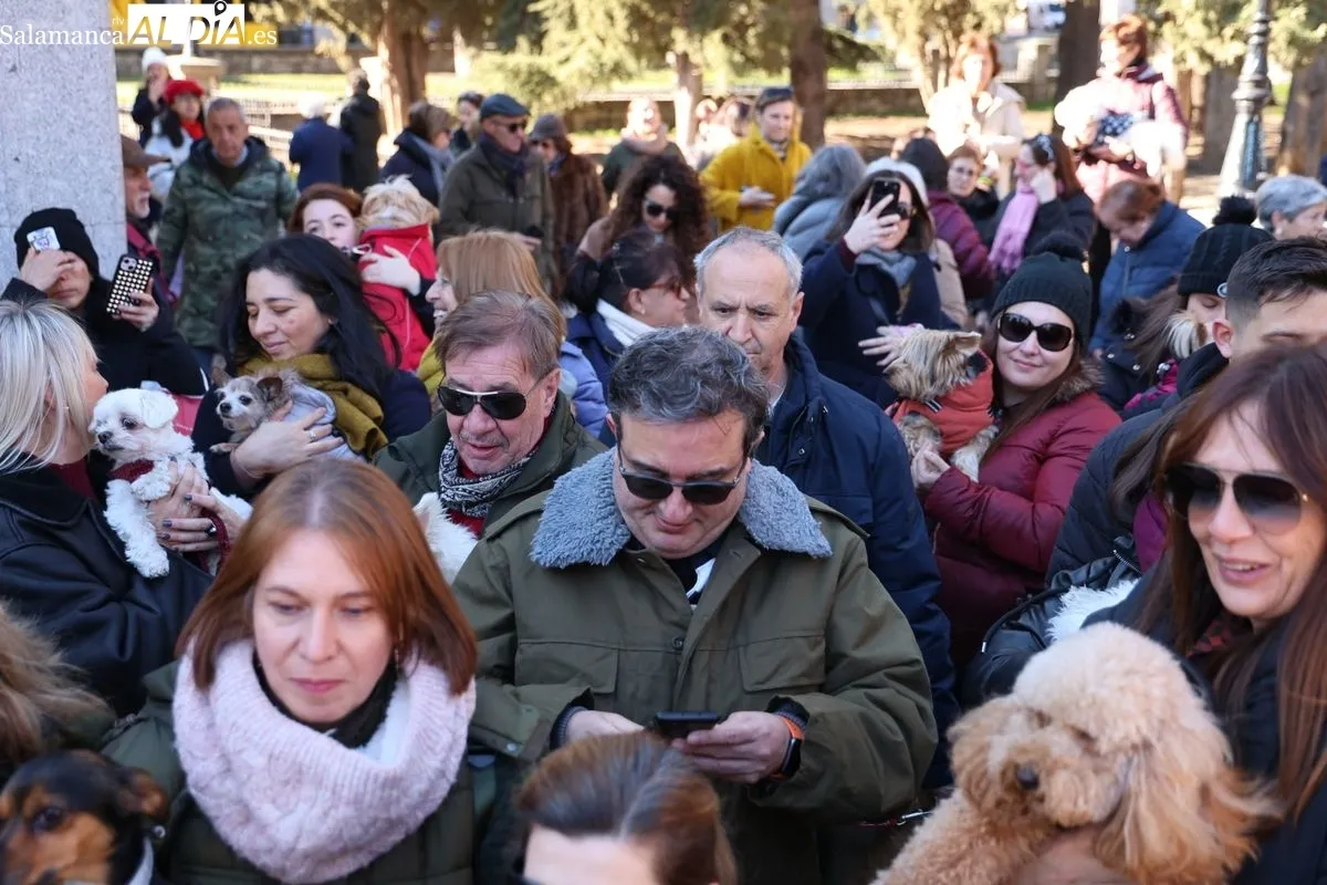 Tradicional bendición de los animales en el parque de San Francisco. Foto de David Sañudo