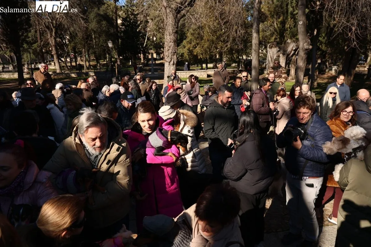 Tradicional bendición de los animales en el parque de San Francisco. Foto de David Sañudo